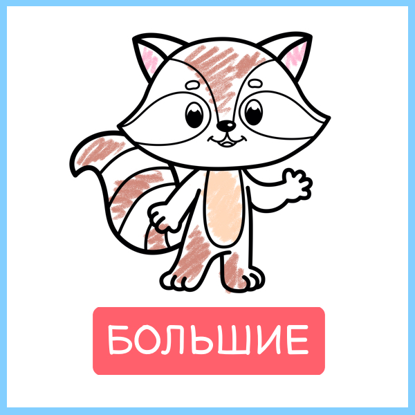 Большие: енот во весь лист, раскрашенный карандашом