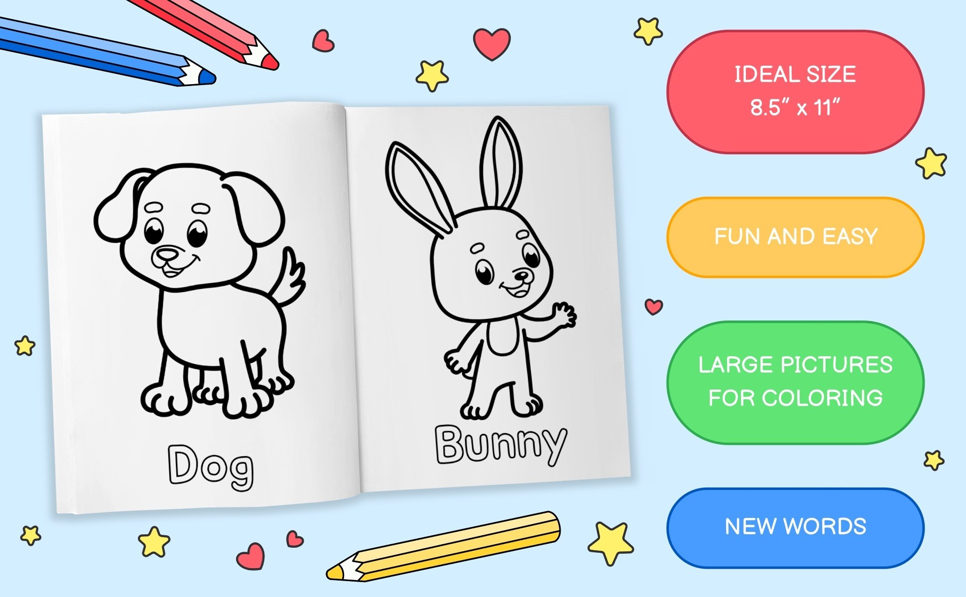 The book open at a dog and a bunny, one drawing per page with the word underneath, 8.5 by 11 inches
