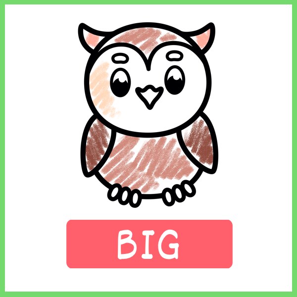 Big: an owl filling the page, partly colored in with pencil by a small child