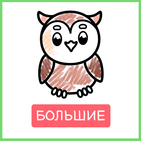 Большие: сова во весь лист, раскрашенная карандашом