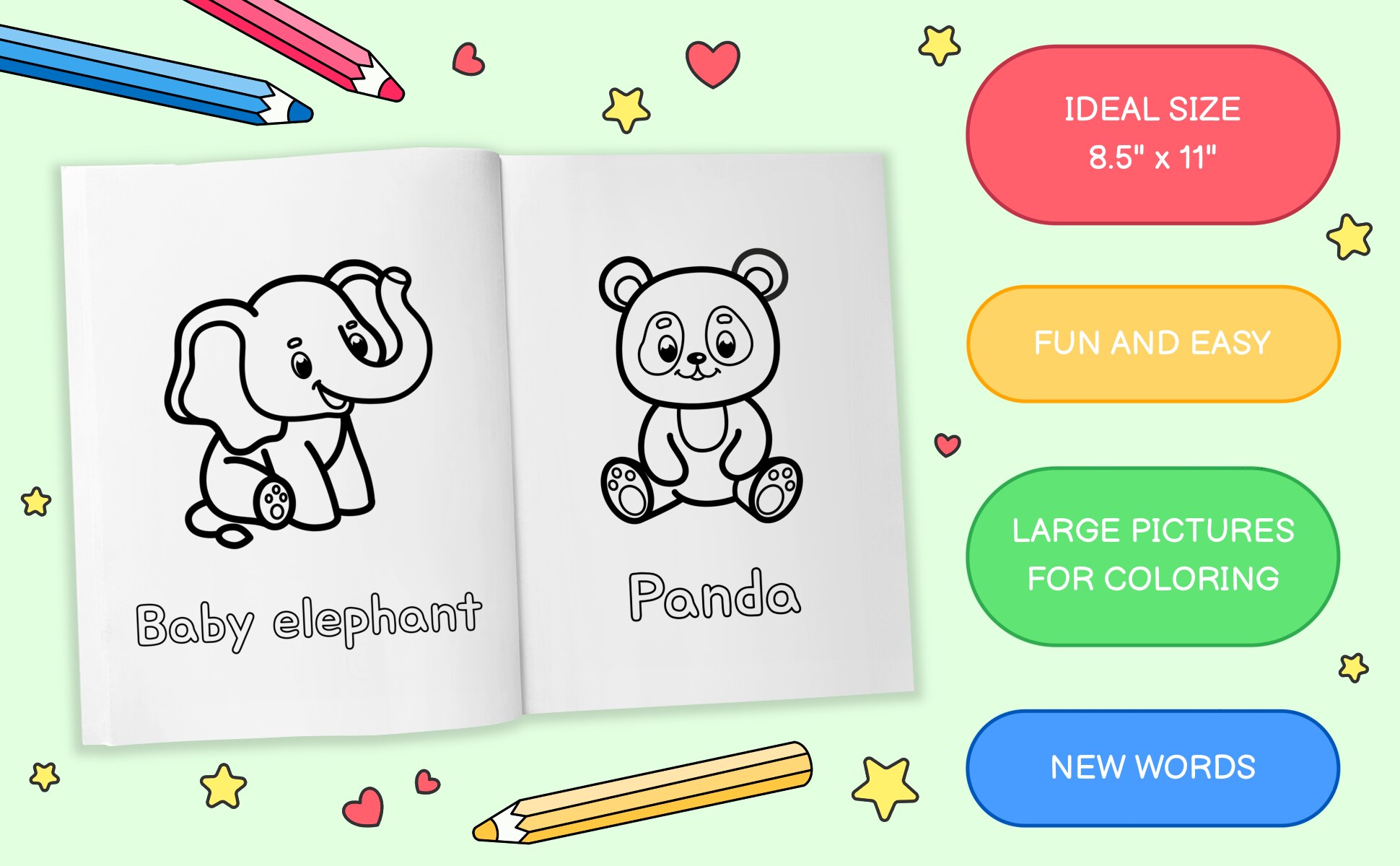 The book open at a baby elephant and a panda, one drawing per page with the word underneath, 8.5 by 11 inches