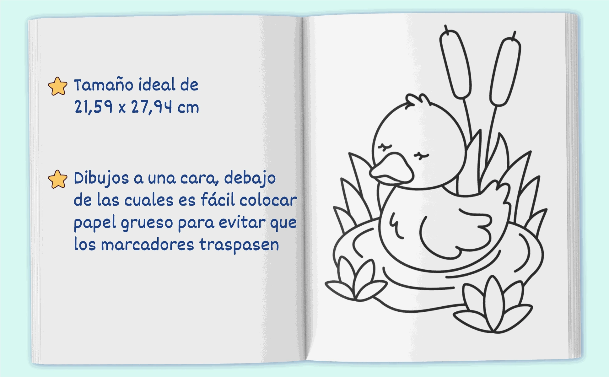 El libro abierto por un patito entre juncos, con la página de 21,6 por 27,9 cm