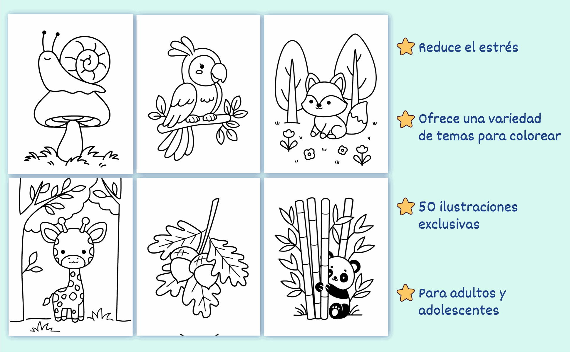 Seis dibujos más del libro: un caracol, un loro, un zorro, una jirafa, bellotas y un panda entre bambú