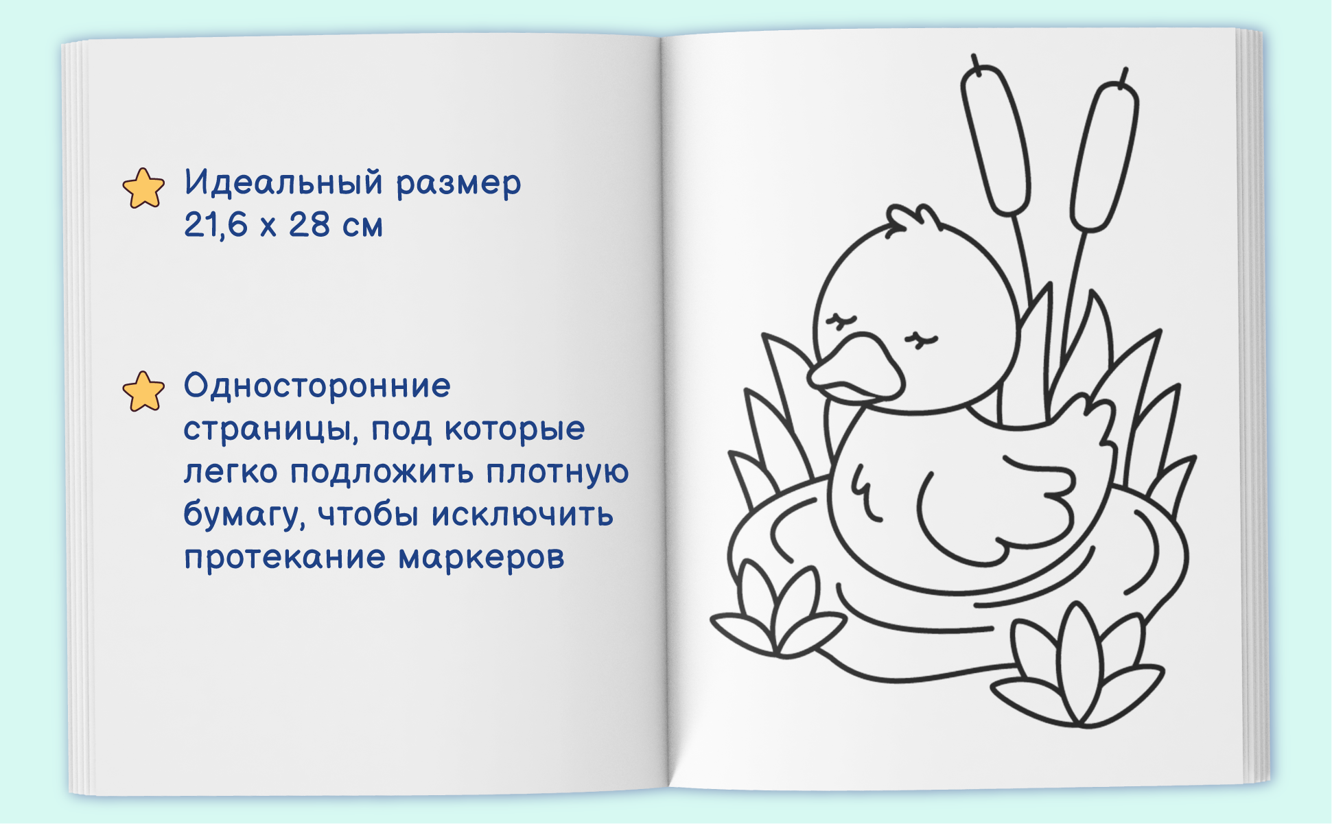 Книга раскрыта на утенке среди камышей, лист 21,6 x 28 см, рисунки только на одной стороне листа