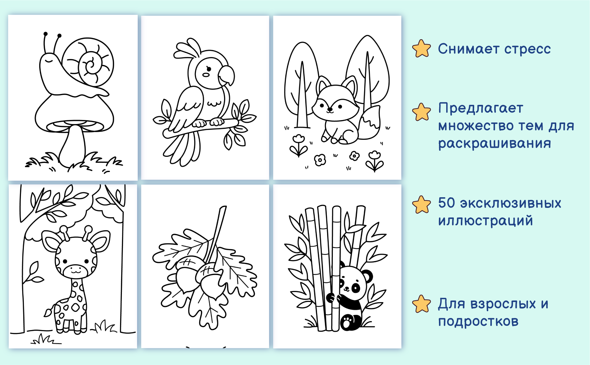 Еще шесть рисунков из книги: улитка, попугай, лиса, жираф, желуди и панда в бамбуке