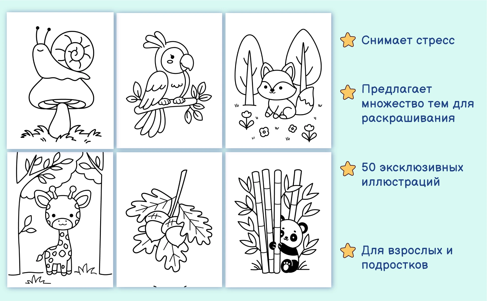Еще шесть рисунков из книги: улитка, попугай, лиса, жираф, желуди и панда в бамбуке