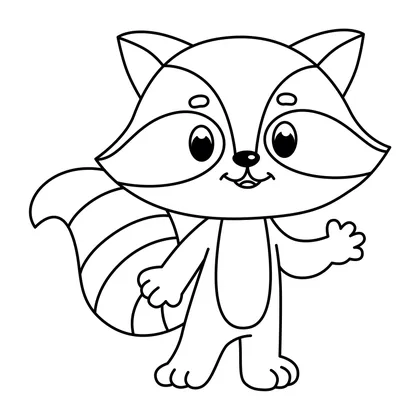 Raccoon