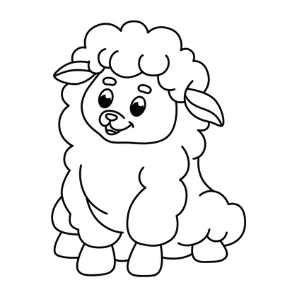 Sheep