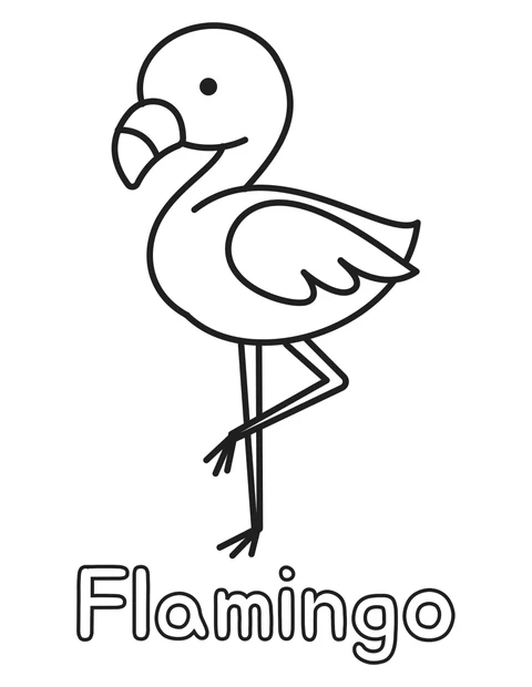 Flamingo