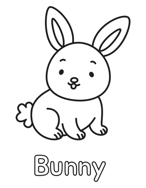 Bunny