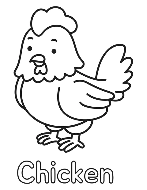 Chicken