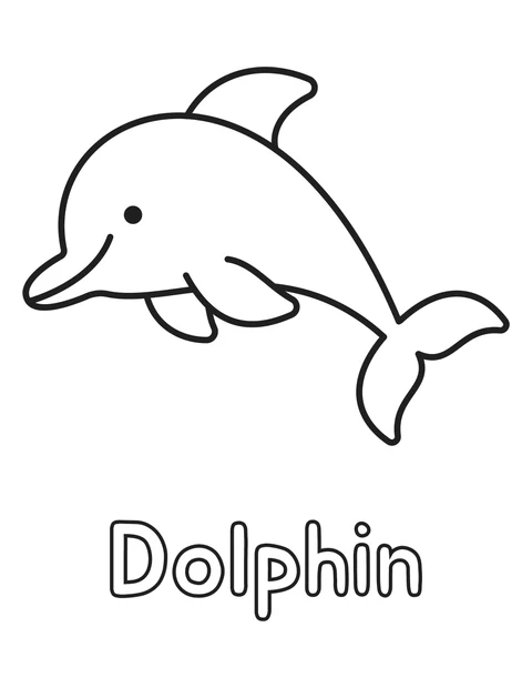 Dolphin