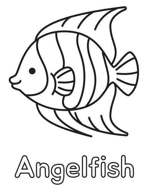 Angelfish