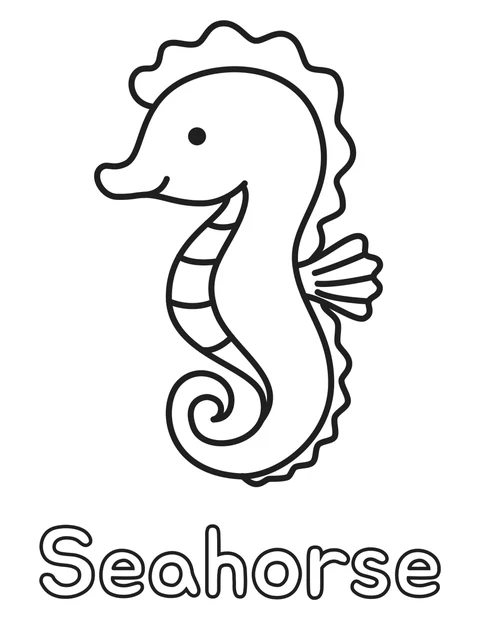 Seahorse