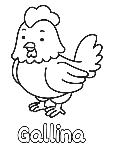 Gallina