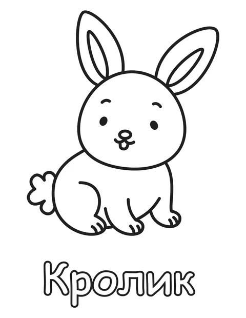 Кролик
