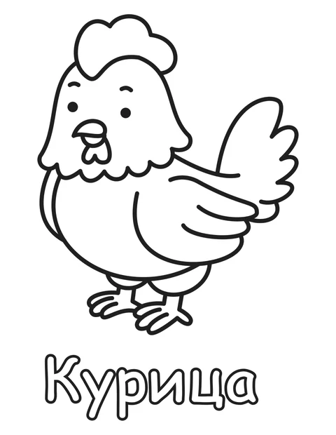 Курица