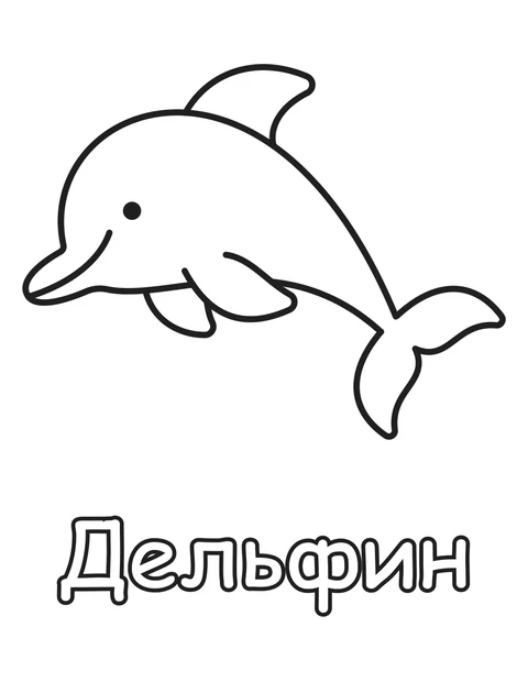 Дельфин