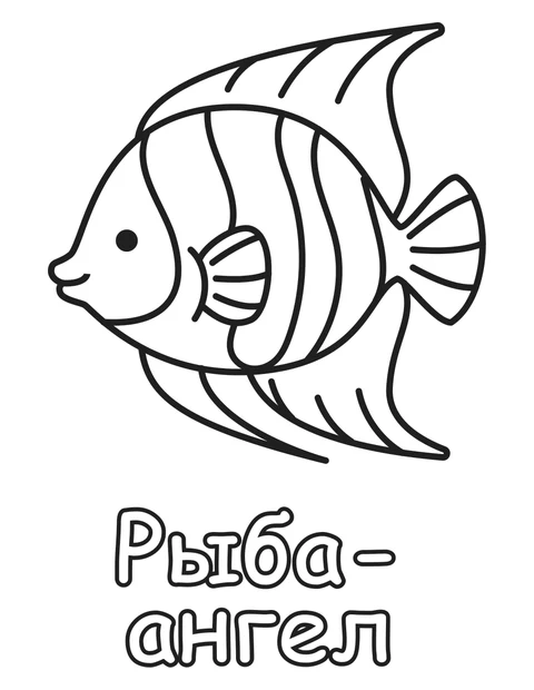 Рыба-ангел