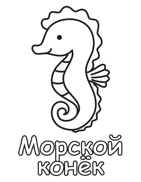 Морской конек