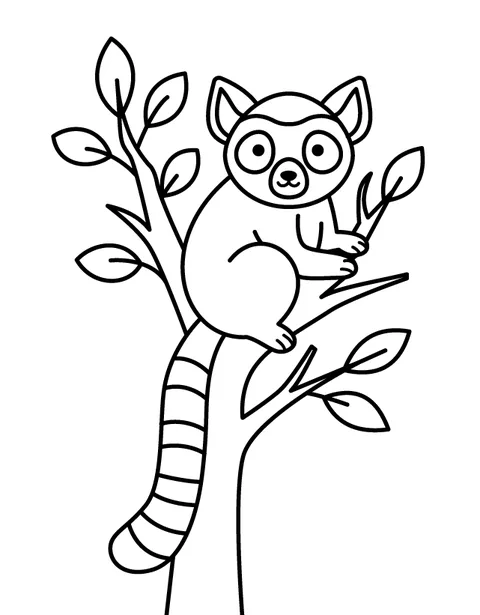 Lemur