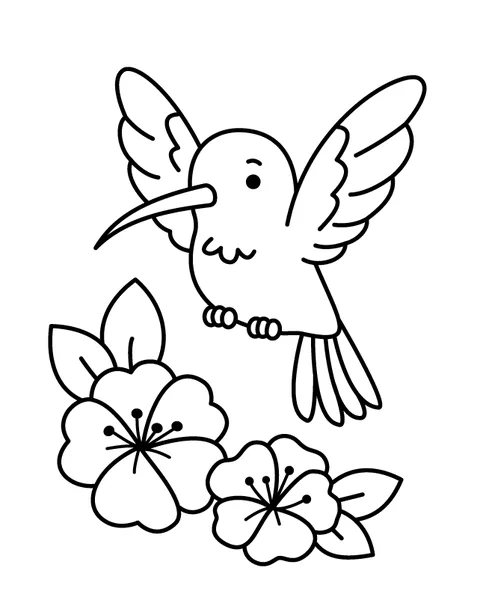 Hummingbird