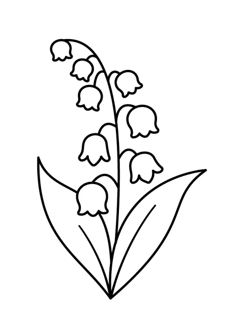 Lily of the valley