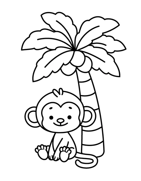 Monkey