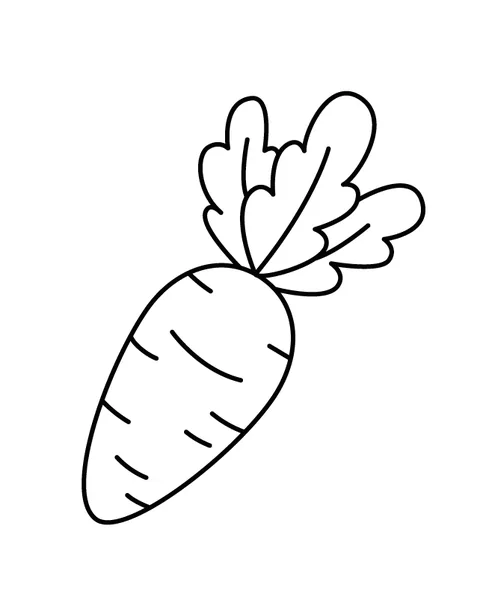 Carrot