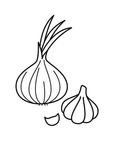 Onion and garlic