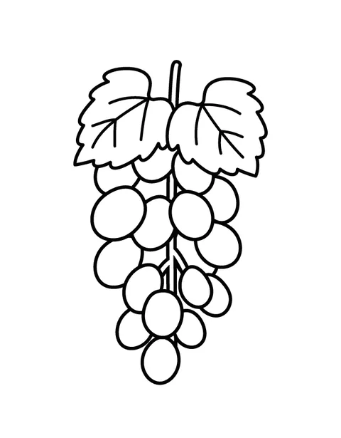 Grapes
