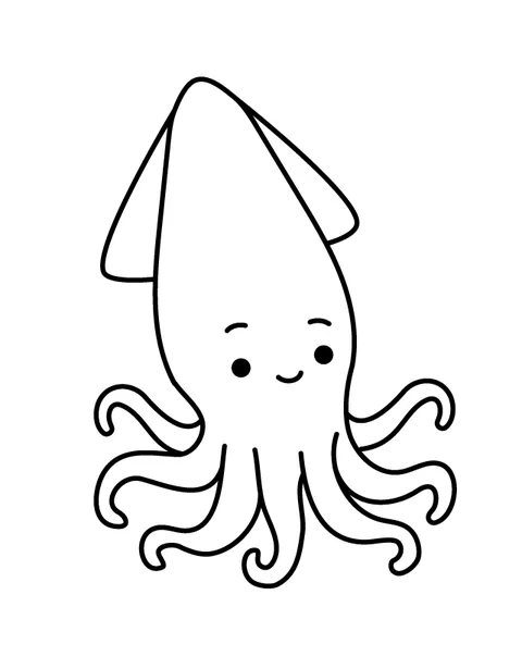 Squid