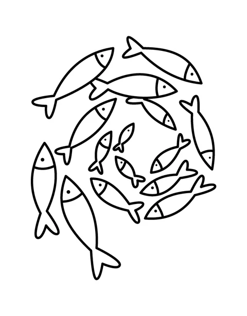 School of fish