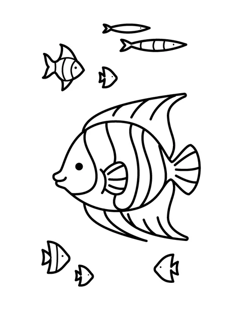 Angelfish