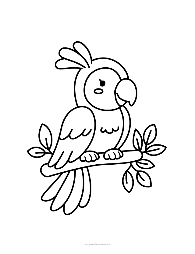 Free printable Parrot coloring page for adults and kids, thick lines and big open shapes, one design per page