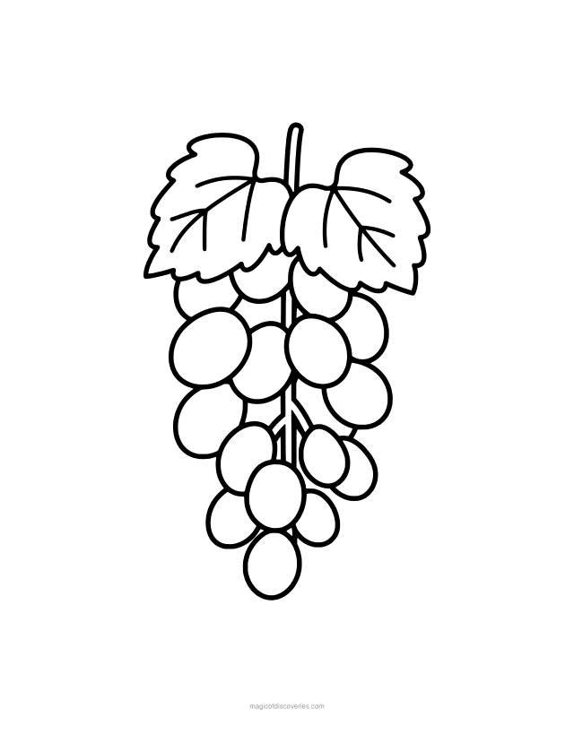 Free printable Grapes food coloring page for adults and kids, thick lines and big simple shapes, one design per page