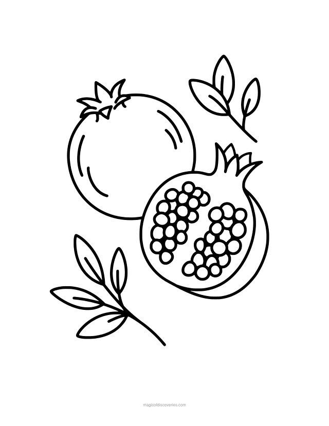 Dibujo de Granada para colorear gratis para imprimir, para adultos y niños, líneas gruesas y formas grandes, un diseño por página