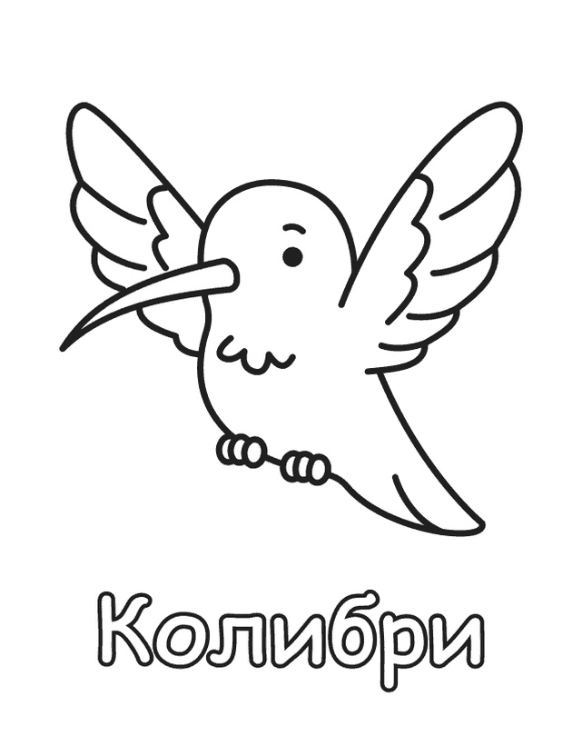 Бесплатная раскраска Колибри для печати, толстый контур, одно животное на листе
