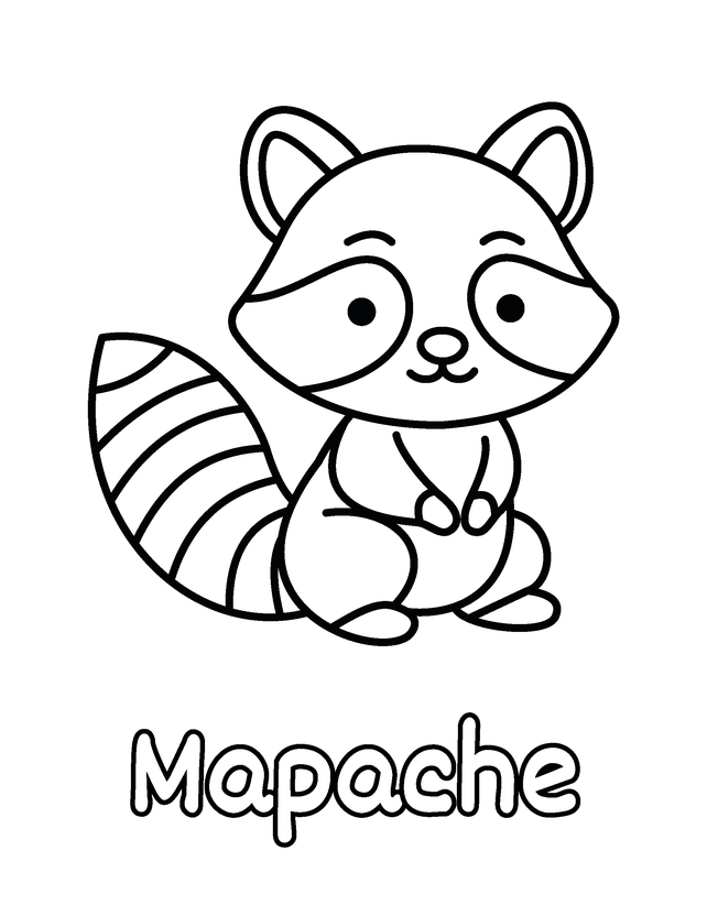 Dibujo de Mapache para colorear gratis para imprimir, contornos gruesos, un animal por página, con el nombre en español